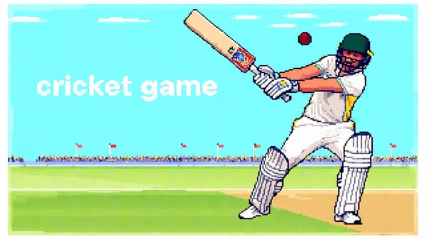 cricket game