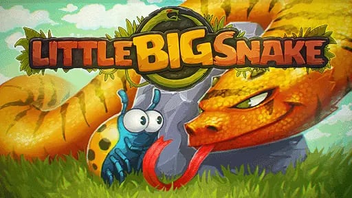 LittleBigSnake IO